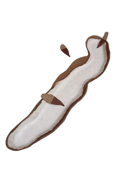 Petisqueira orgânica longa branca 02