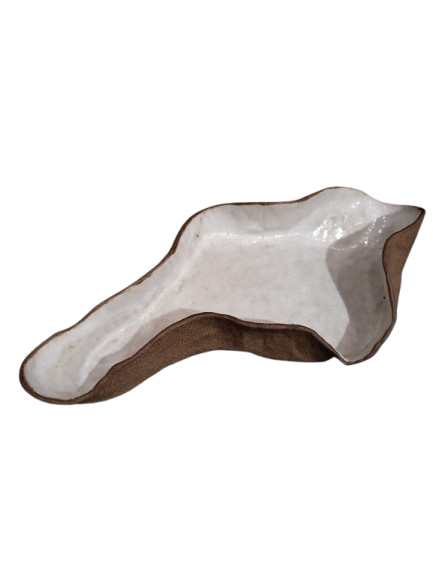 Petisqueira orgânica movimento