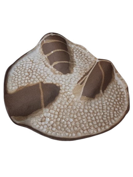 Petisqueira orgânica coral