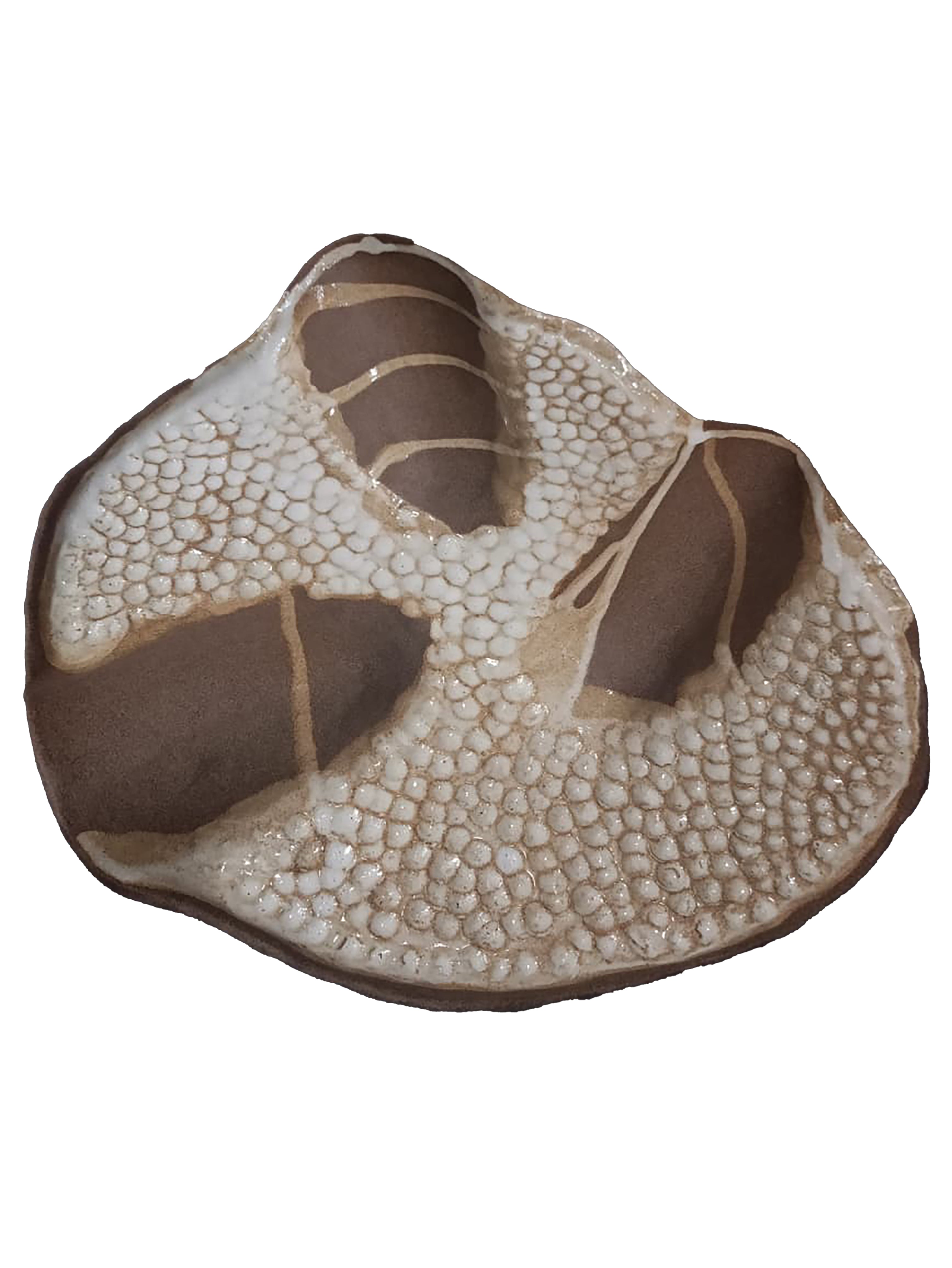 Petisqueira orgânica coral